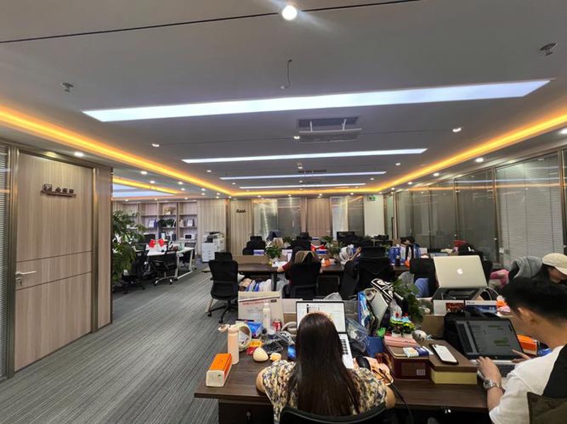 洞察未来：上海信息咨询行业的最新进展